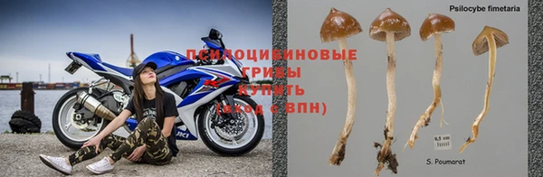 PSILOCYBIN Фурманов