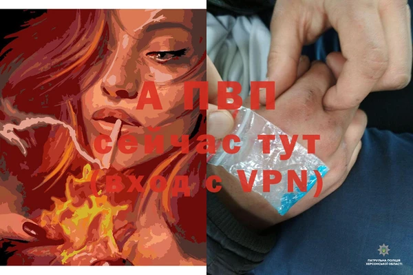 соль курить ск Дедовск